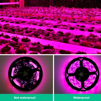 LED Fito lempa USB Augti Šviesos Ruože 2835 1m 2m 3m Ranka valyti Augalų užpildyti šviesos Sėklų Augalai, Gėlės Šiltnamiuose, led Juostos, lempos