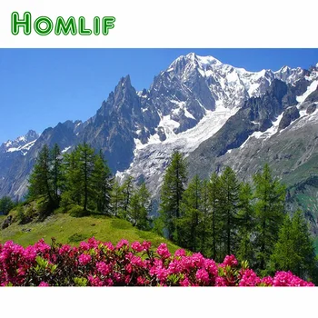 HOMLIF Kalnų Peizažas Dygminų Diamond Tapybos Sniego Kalnų Gėlės 