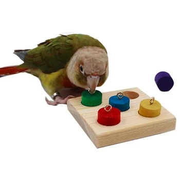 Pet Švietimo Žaislai Papūga Interaktyvios Mokymo Medinių Blokas Paukščių Įspūdį Reikmenys 