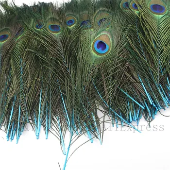 20 natūralių povo plunksnų dažytos ežero mėlyna amatų apdailos 25-30 cm (10-12 cm) 