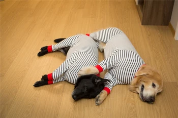 Didelių Šunų Pižama Ruožas Didelis Šuo, Drabužių Jumpsuit Pyjama Samoyed Haskis Labradoro Auksaspalvis Retriveris Drabužių Sleepwear Kostiumas