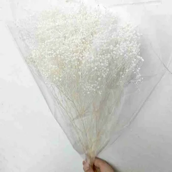 Medienos Gypsophila Džiovintos Gėlės, Gėlių Išdėstymas Foto Rekvizitai Vestuves Namų Dekoro Priedai Foto Rekvizitai