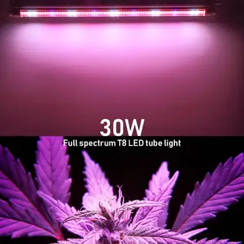 60CM T8 Led Grow Light Tube Visą Spektrą 30W Vis Phytolamp Kambarinių Augalų Šiltnamio efektą sukeliančių Palapinė Hydroponic Daigų Saulės