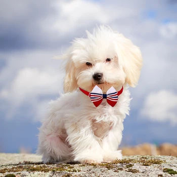 50pcs Šuo peteliškę Amerikos Nepriklausomybės Dienų Šuo Tiekia Šunų Kačių Bowties liepos 4-osios Viliojimo Priedus Mažiems Šunims