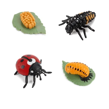 Modeliavimo Gyvūnų Augimo Ciklo Biedronka Gyvenimo Linijos Statulėlės Plastikinių Modelių Veiksmų Vabzdžių Sumos Švietimo Žaislas Vaikams