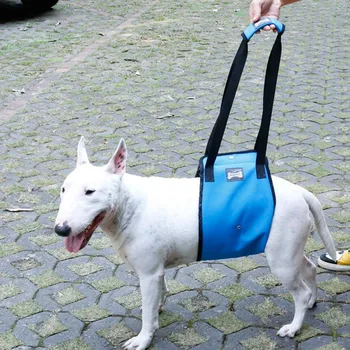 Nešiojamų Šuo Diržas Diržas Už Nugaros, Kojų, Klubo Paramos Diržas Padės Pakelti Šuo Galiniai Už Šunų Pagalbą Senas Šuo, Raiščių Reabilitacijos