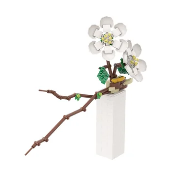 Spalvinga Phalaenopsis Vaza, Gėlės, Puokštės Įrenginių Statyba Blokai Vazoninių Žiedų Ornamentais Modelio Apdailos Plytos 
