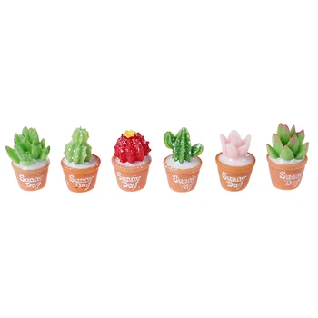 5vnt Miniatiūriniai Augalai, Kaktusai Bonsai Už Lėlių Dekoro Mini Apsimesti Žaisti Miniaturas Blyth Barbi Lėlės Priedai Žaislas