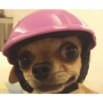 Pet šuo, katė Helmet Hat Bžūp Šuo Katės Kostiumas Aksesuaras Naminių Reikmenys motociklo ABS Plastiko šuns žaislas Šalmas dangtelis su saulės akiniais