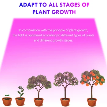 LED Fito lempa USB Augti Šviesos Ruože 2835 1m 2m 3m Ranka valyti Augalų užpildyti šviesos Sėklų Augalai, Gėlės Šiltnamiuose, led Juostos, lempos