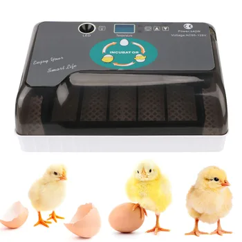Automatinis Kiaušiniai Inkubatoriaus Ūkio Perykla Vištienos Paukščių Putpelių Brooder Pigiai Pet Products 4-35 Kiaušinių Peryklose