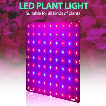 LED Grow Light 265V Phytolamp Augalų Quantum Valdybos Augimo Apšvietimas Visą Spektrą Hydroponics Augalų Lempos Augalų JK/JAV/ES