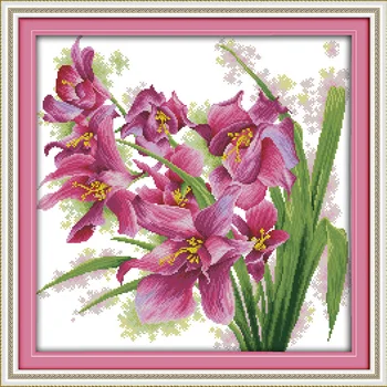 Džiaugsmas sekmadienį Orchidėjų Grožis Atspausdinta ant Drobės DMC kryželiu modelis rinkiniai amatų padaryti su siuvinėjimo schema