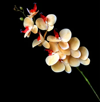 4p Dirbtinio Latekso Drugelis Orchidėjų Žiedų 9 galvutėmis/gabalas Nekilnojamojo Touch Geros Kokybės Phalaenopsis Orchidėja 40