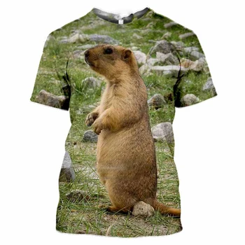 Juokinga Marmota Marmota Valgyti vyriški T-shirt 3D Spausdinimo Laukinių Gyvūnų marškinėliai Moterims Vasaros Atsitiktinis Sporto Marškinėliai Streetwear