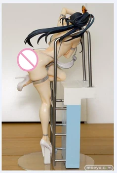 25cm Gimtoji Aoi Nanami raketų berniukas duomenys Seksualių merginų Veiksmų Skaičius, japonų Anime PVC suaugusiųjų Veiksmų Skaičiai žaislai
