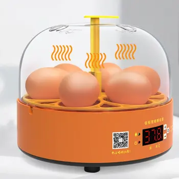 Mini Skaitmeninės 6 Kiaušiniai Inkubatoriaus Automatinis Temperatūros Brooder Vištienos Antis Paukščių Kiaušinių Hatcher Ūkio Naminių Paukščių Perykla Mašina