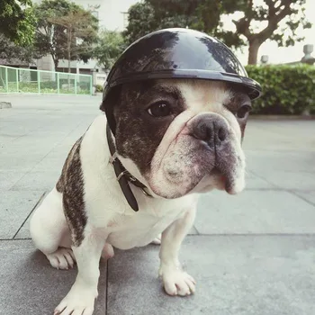 Pet šuo, katė Helmet Hat Bžūp Šuo Katės Kostiumas Aksesuaras Naminių Reikmenys motociklo ABS Plastiko šuns žaislas Šalmas dangtelis su saulės akiniais