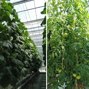 Augalų Laipiojimo Kabliukai 1PC Sodo Nešiojamų 10M Virvę Cinkuoto Plieno Vielos, Skirtos Daržovių, Vaisių Pomidorai Plotai