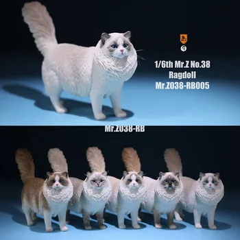 Mr. Z 038 1/6 Ragdoll Naminių Kačių Simuliatorius Gyvūnų Modelio Mielas Super Mielas Papuošalų 12
