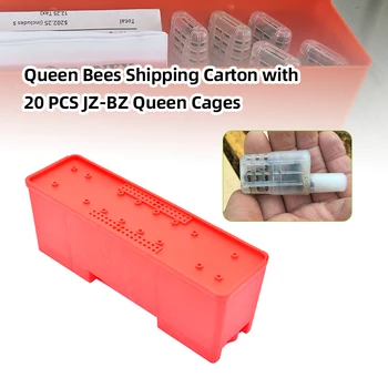 Bitininkystės Įranga Karalienė Auginimo Karalienė Laivybos dėžėje 20 VNT JZ-BZ Karalienė Apsaugo Karalienė Ląstelių Vežimo Metu
