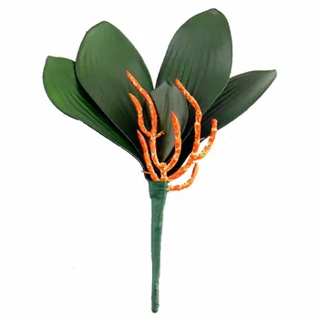 Phalaenopsis Lapų Modeliavimas Real Touch Dirbtinių Augalų Dekoratyvinės Gėlės, Pagalbinės Medžiagos, Puošyba Orchidėjų Lapai