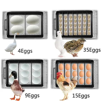 Automatinis Kiaušiniai Inkubatoriaus Ūkio Perykla Vištienos Paukščių Putpelių Brooder Pigiai Pet Products 4-35 Kiaušinių Peryklose
