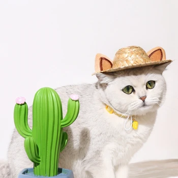 Mielas Mielas Kačių Antkaklis su Kaktusas Pakabukas Reguliuojamas Šuniuką Čihuahua Karoliai su 