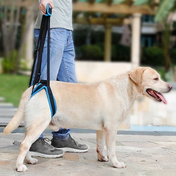 Reguliuojamas Šuo, Pakelkite Diržas Už Nugaros, Kojų Pet Paramos Diržas Padėti Silpni Kojų Atsistoti Naminių Šunų Pagalbos Padėti Priemonė Seni Šunys