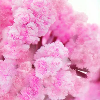 Magic Growing Tree Paper Sakura Crystal Trees Desktop Cherry Blossom Toys ADW889