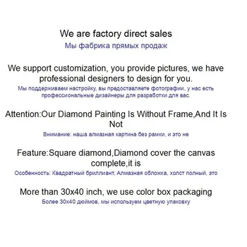 Diamond Tapybos gremlins kvadratiniu apvalus Deimantas 5D 