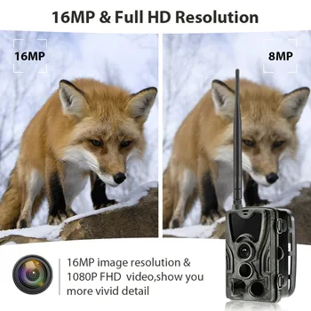 EUR HC 801M Medžioklės Takas Kamera Laukinės gamtos Kameros 2G MMS Infraraudonųjų spindulių Nuotrauką, Vaizdo Stebėjimo 16MP 1080P Naktinio Matymo foto spąstus