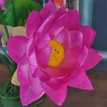 5vnt Netikrą Lotoso Gėlių Krūva Modeliavimas Vandens Lelija 6 7 Spalvų Stiebai už Vestuves Namų Dirbtinis Dekoratyvinės Gėlės