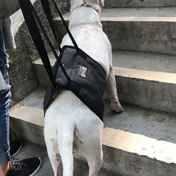 Nešiojamų Šuo Diržas Diržas Už Nugaros, Kojų, Klubo Paramos Diržas Padės Pakelti Šuo Galiniai Už Šunų Pagalbą Senas Šuo, Raiščių Reabilitacijos