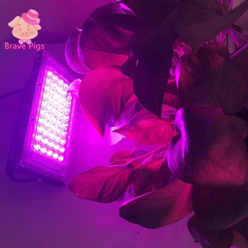 LED Grow Light 220V 50W LED Prožektorius Fito Lempa Augalų Augimo Apšvietimas