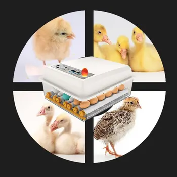 220V Kiaušiniai Inkubatoriaus Brooder Automatinė Ūkio Inkubacijos Įrankiai Paukščių Putpelių Viščiukų Perykla Paukščių Hatcher Turner