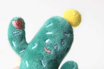 Kaktusas Dizaino Katžolių Žaislas Katė Žaislas Linksmas Kačių Elgtis Su Nekilnojamojo Katžolių Viduje