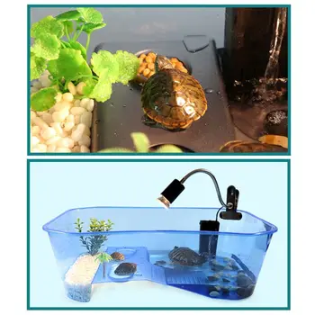 Roplių Vivarium Box Turtle Vėžlys su Milžinryklius Rampos Akvariumo Bakas Veisimo Maisto Įrankių Priedai