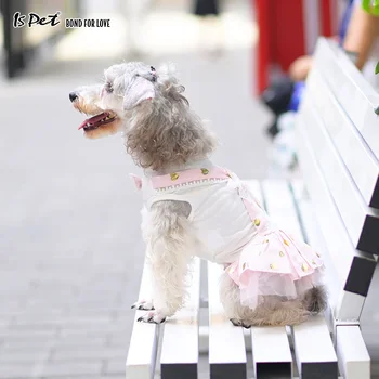 Šuo Suknelė Prabangius Pink Šunų Drabužius Vasarą 2020 Francais Tutu Vestuvių naminių Gyvūnėlių Šuniuką Suknelė Šunims Mergina Čihuahua Shih Tzu Pomeranijos
