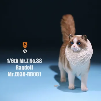 Mr. Z 038 1/6 Ragdoll Naminių Kačių Simuliatorius Gyvūnų Modelio Mielas Super Mielas Papuošalų 12