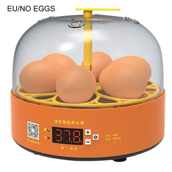 Mini Skaitmeninės 6 Kiaušiniai Inkubatoriaus Automatinis Temperatūros Brooder Vištienos Antis Paukščių Kiaušinių Hatcher Ūkio Naminių Paukščių Perykla Mašina